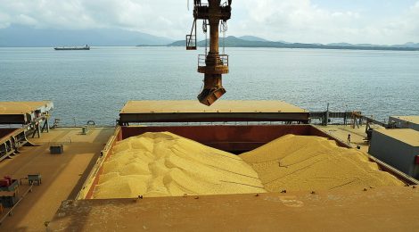 Crescem exportações de soja e milho pelos portos do Arco Norte