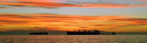 IMO identifica 529 navios com bandeiras nacionais fraudadas e 356 sem registro em sociedade classificadora