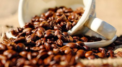 Exportação de café no Porto de Santos registra queda de 11,3% em 2018