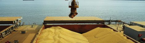 Crescem exportações de soja e milho pelos portos do Arco Norte