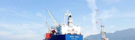 Governo pretende privatizar Porto de São Sebastião até 2022