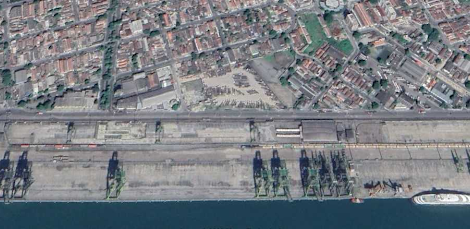 Marcados leilões de áreas para movimentação de celulose no Porto de Santos