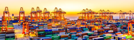 ANTAQ participa de operação para vistoriar movimentação de produtos perigosos no Porto de Santos
