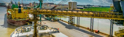 Produção de grãos chegará a 350 milhões de toneladas na safra 2024/2025