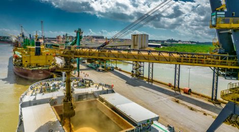 Produção de grãos chegará a 350 milhões de toneladas na safra 2024/2025